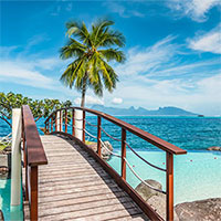Discover Wellness at Sea